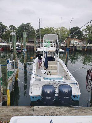 All aboard! Let's do this! Are you ready for some dolphins.