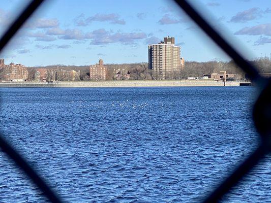 the view if the reservoir through the fence