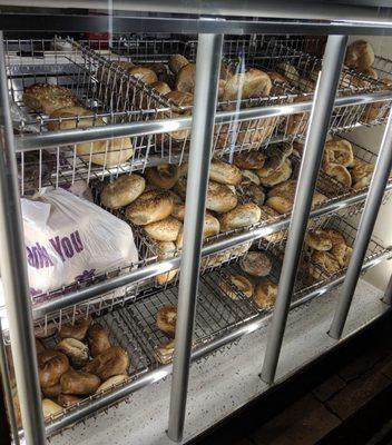 Fresh bagels all day!