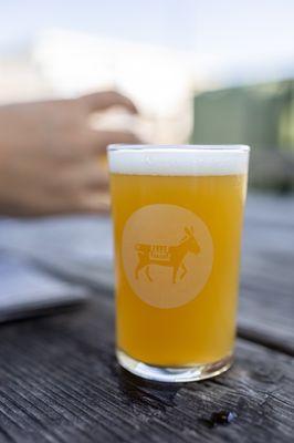 Odyssey Hazy IPA 5.9%ABV - San José, CA ($3/5oz)