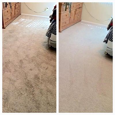 Dry Carpet Cleaning in Las Vegas