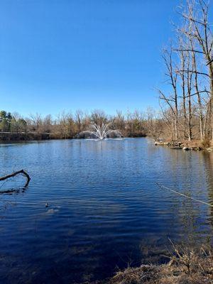 Amazing pond in the off beaten path