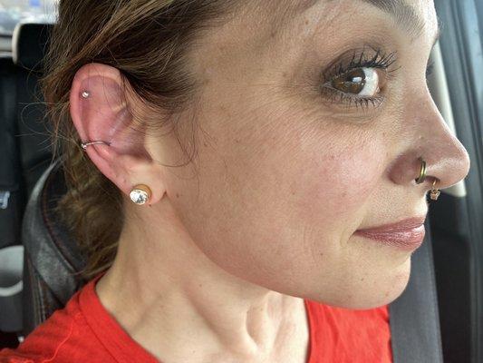 Cartilage and Conch piercings