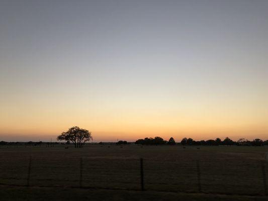 Waller, TX 10.5.22