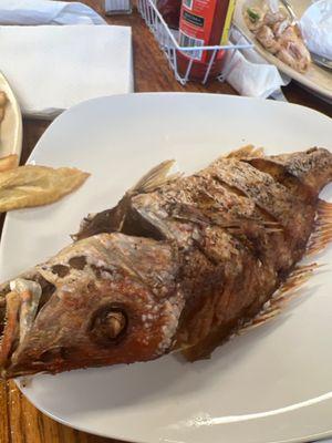 Fried red snapper yummy