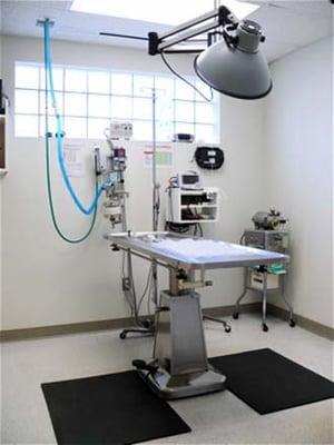 Surgical Suite