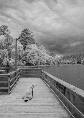 Huntsville State Park