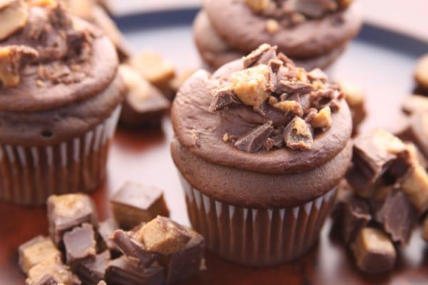 Chocolate cupcake with chocolate fudgy frosting