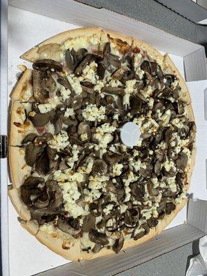 Three 14" Large 3 Mushrooms Pizza