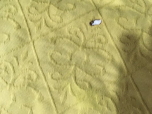 Holes in comforter