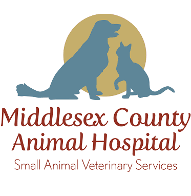 Middlesex County Animal Hospital