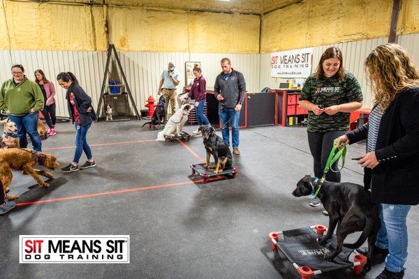 Group classes are an important component in training your dog