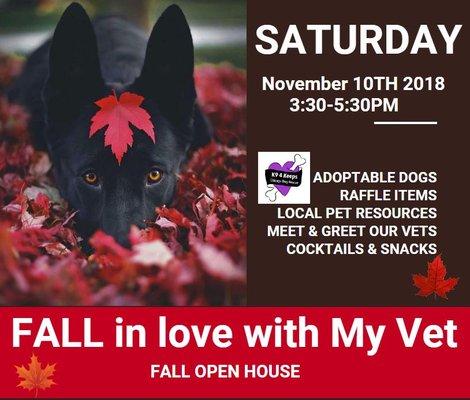 FALL in love with My Vet Saturday, 11/10/2018  3:30-5:30PM