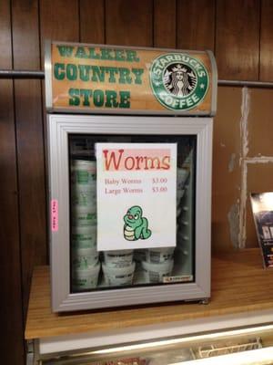 Repurposed Starbucks cooler.