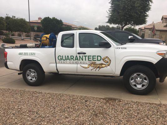 Pest control truck lettering and logo.