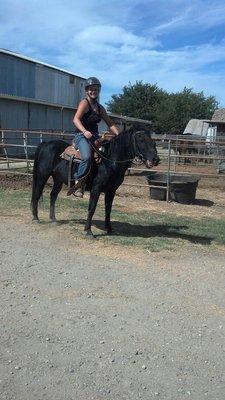 one of 6 pony rescue from Tracy Ca  found home for them all. Check us out on FB