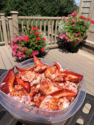 2 lbs. of lobster meat...bring on the rolls and butter!