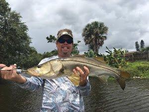 Snook in Bonita Springs, FL