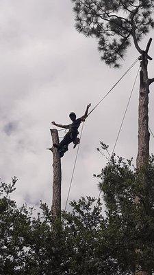 We removed two potentially hazardous Slash Pines from above this rooftop in preparation of hurricane season.