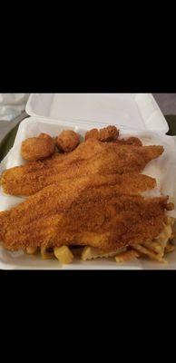 2 fried pieces of catfish. Asked them not to overcook. Perfect job!