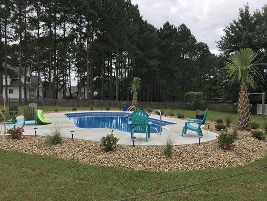 Pool with Palm Tree Landscaping by Yardscapes of New Bern