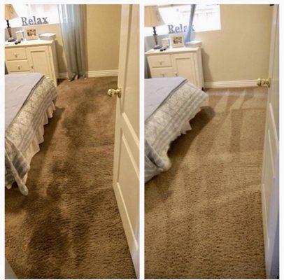 Carpet Diem