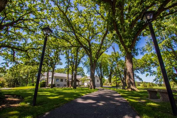 Grand entrance to the Cary Country Club under the mighty oak trees.