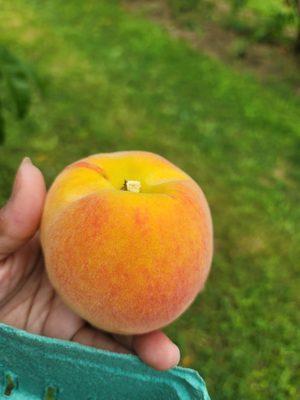 Juicy peaches