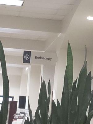 Endoscopy - Apparently Under the Sea...