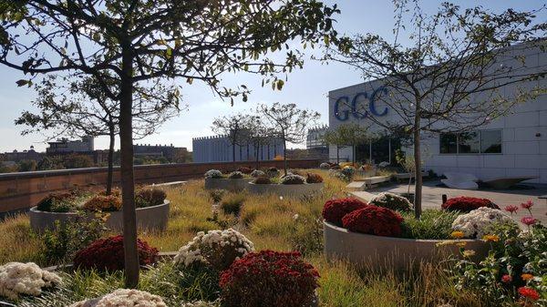 Rooftop Garden, Gateway Community College