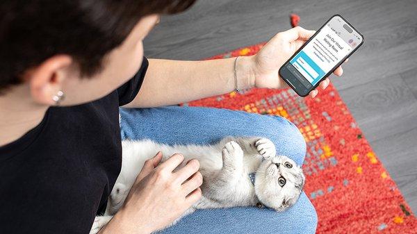 Join the Virtual Waiting Room, wait wherever you want and get notified when it's time to see a veterinarian.