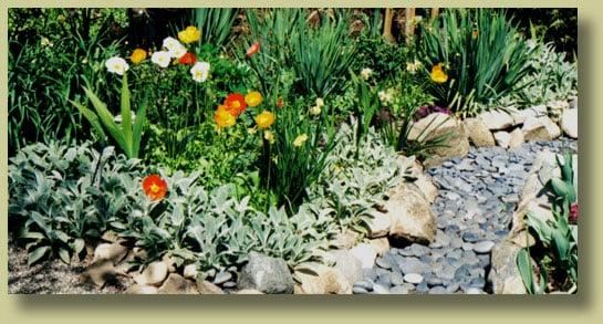 St. Francis Landscape & Gardening