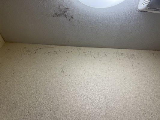 Mold on the wall in the shower area