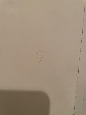 Gross hairs on the door when we checked In