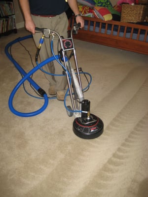 Very thorough rinse and extraction carpet cleaning!