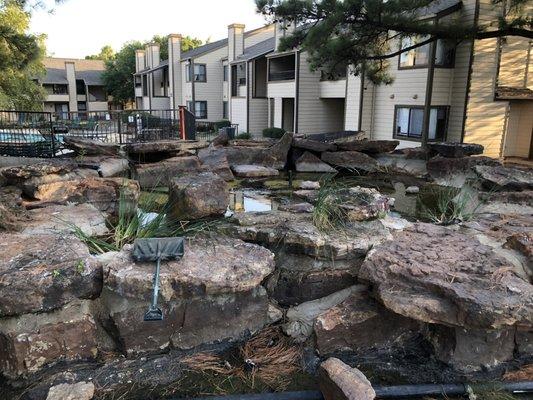 The "fountain" that is also dirty and filled with bugs.