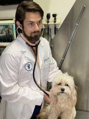 Dr. Lera examining a patient