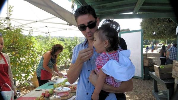 tasting apples before we pick them