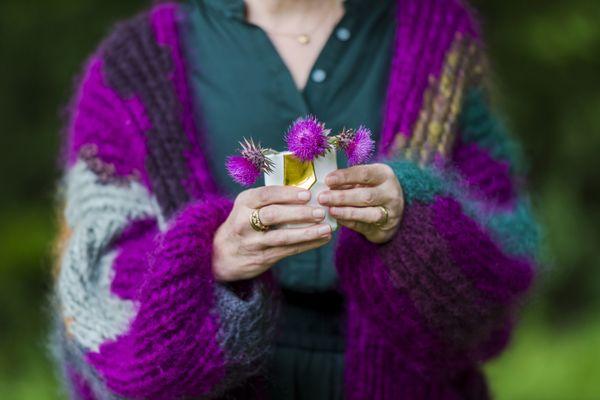 Milk thistle