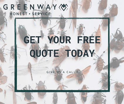 Greenway Pest Solutions Birmingham