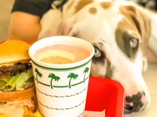 Love can be found with animal style burgers and shakes!! Grrrr baby!!!