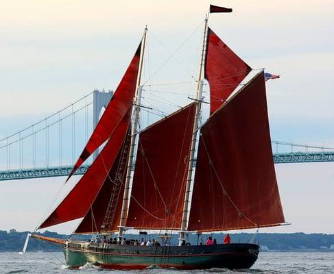 The schooner's distinctive red sails and green hull make her stand out from every other boat in Newport harbor.