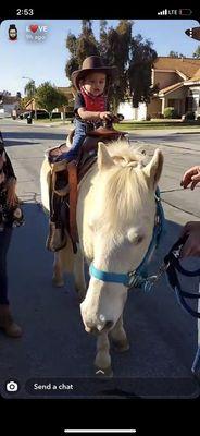 Birthday cowboy on the Pony