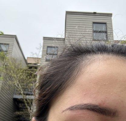 Left eyebrow -- the end got taken off and isn't tapered nicely