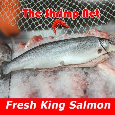 Fresh King Salmon