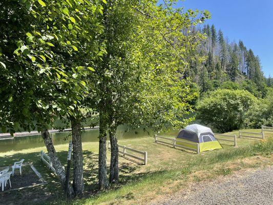 Lower level tent camping along the Siuslaw river.