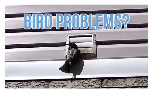 Are birds nesting inside of your dryer vent or bathroom exhaust vents? Ducts R Us can help. Call us today!