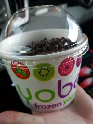 Frozen yogurt 49 cents per ounce yummy