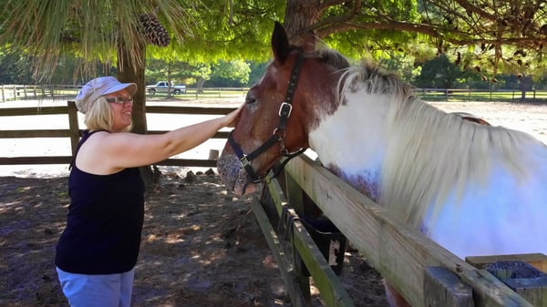 At the stables