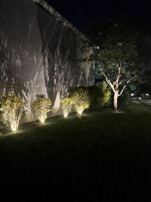 LANDSCAPE LIGHTING